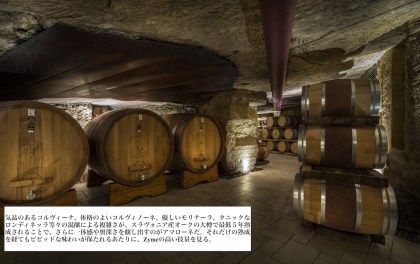 Zymé - Old Wine Cellar2